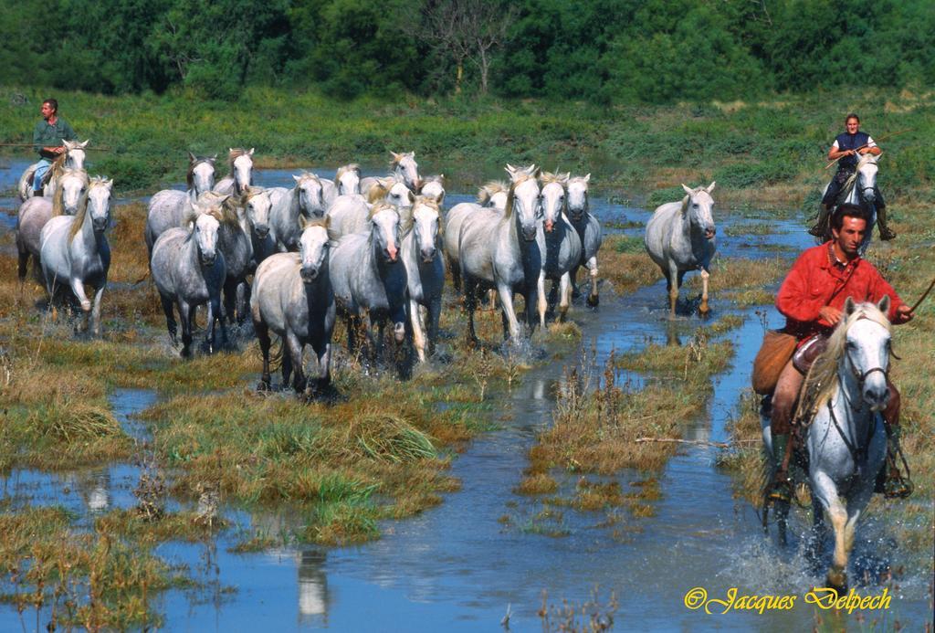 Campeggio L' Arlesienne 3*