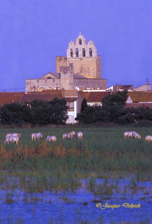 L' Arlesienne Campsite Arles