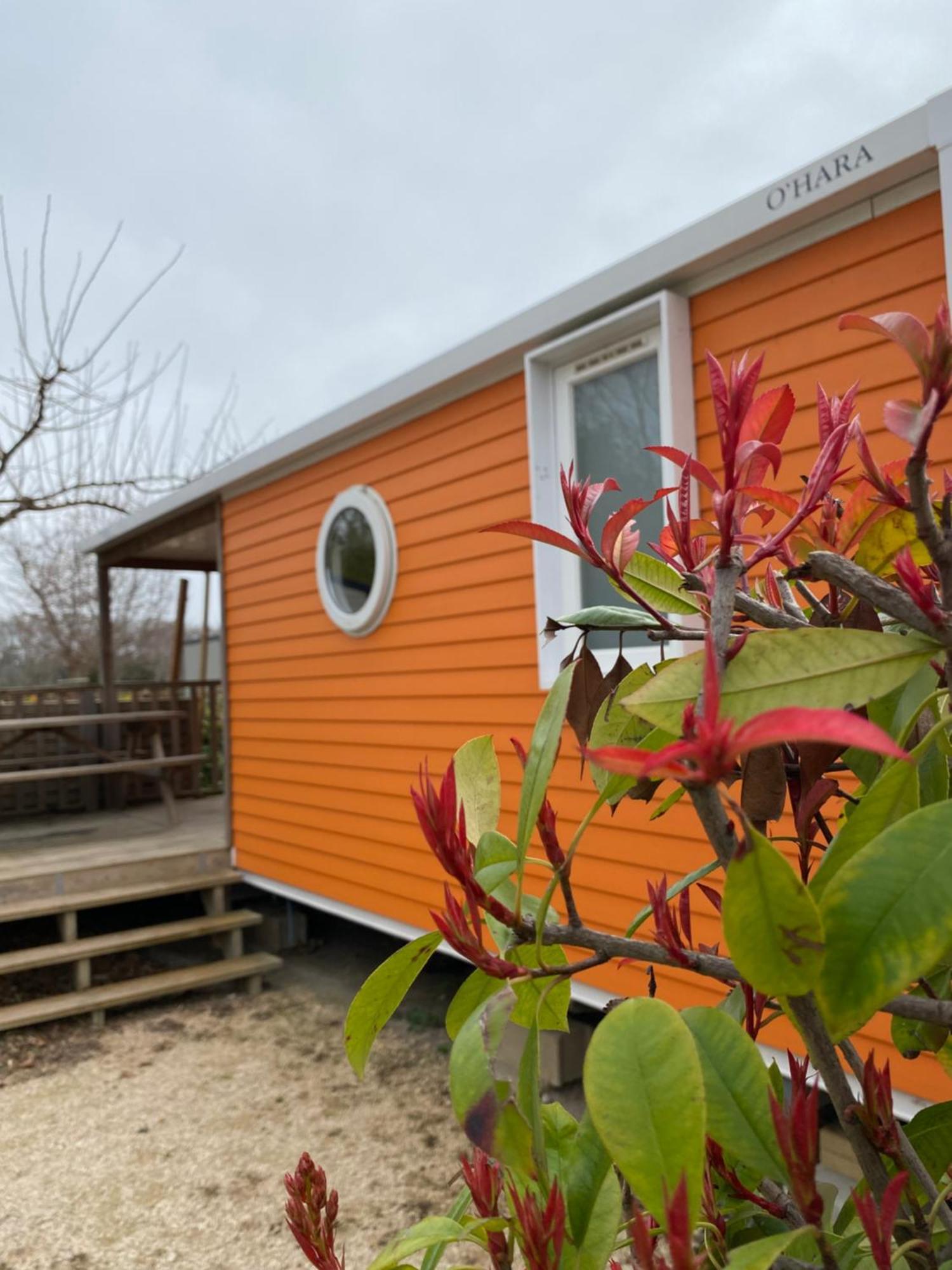 Campsite L' Arlesienne Arles