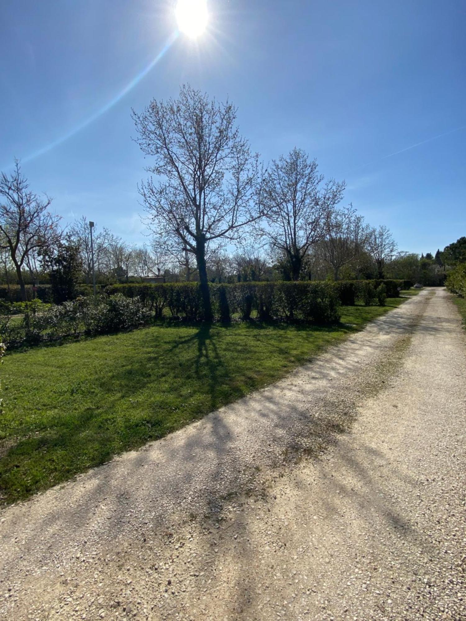 L' Arlesienne Campsite 3*